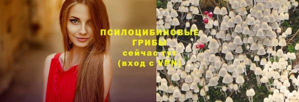 каннабис Коряжма