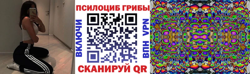 Купить где  Сальск  Галлюциногенные грибы GOLDEN TEACHER 